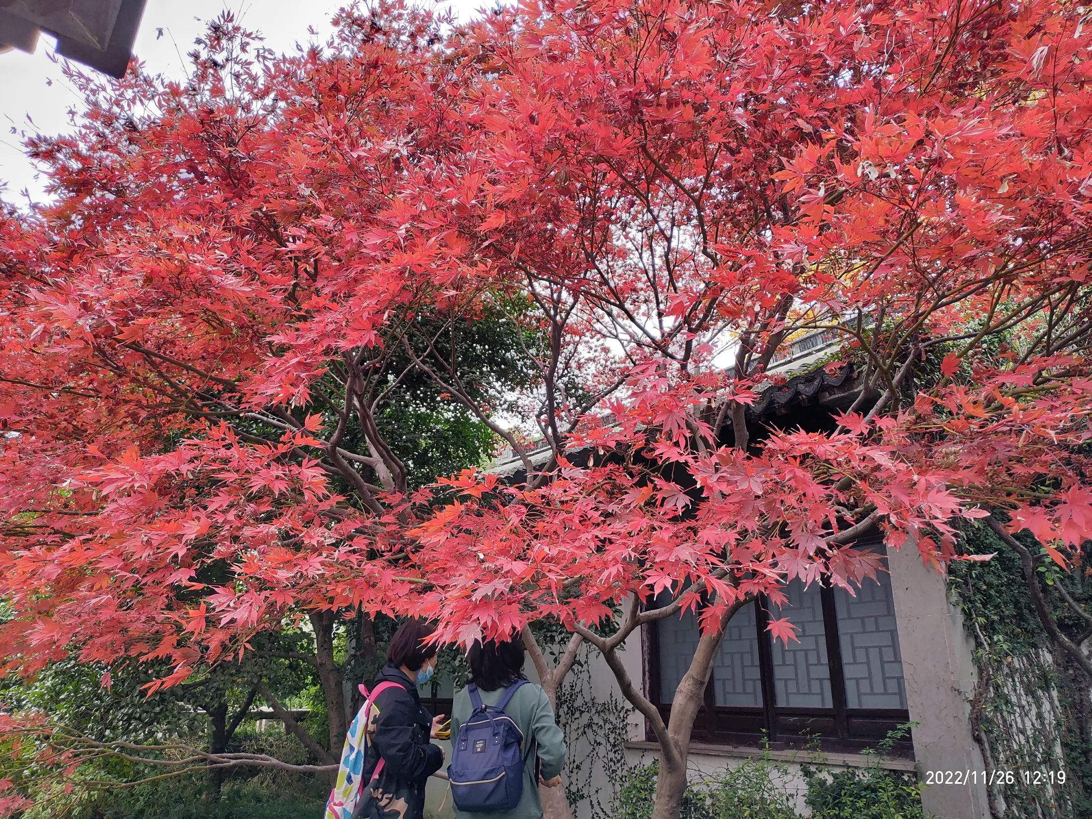 无锡的城市与风景记录 09