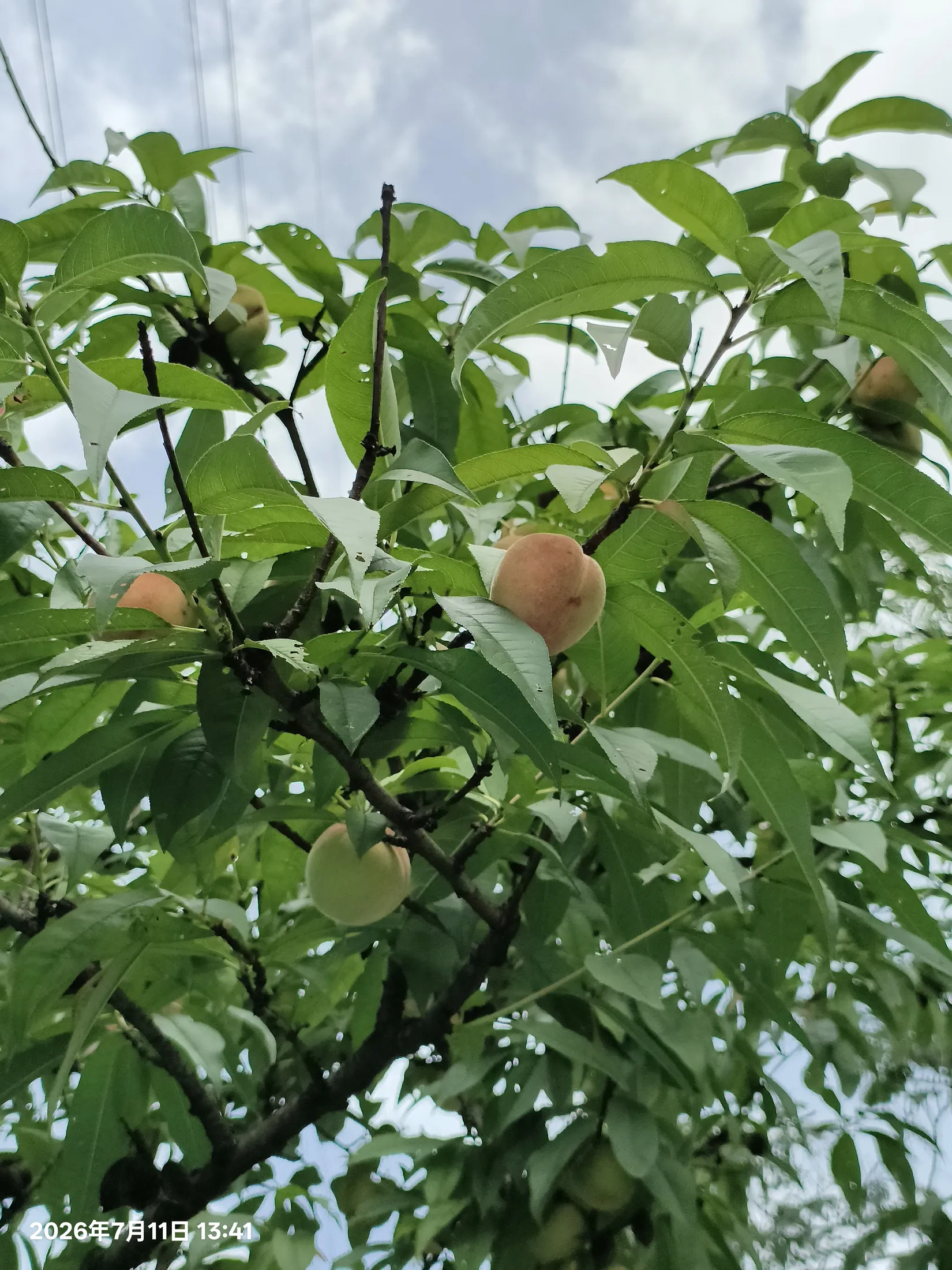 无锡的城市与风景记录 19
