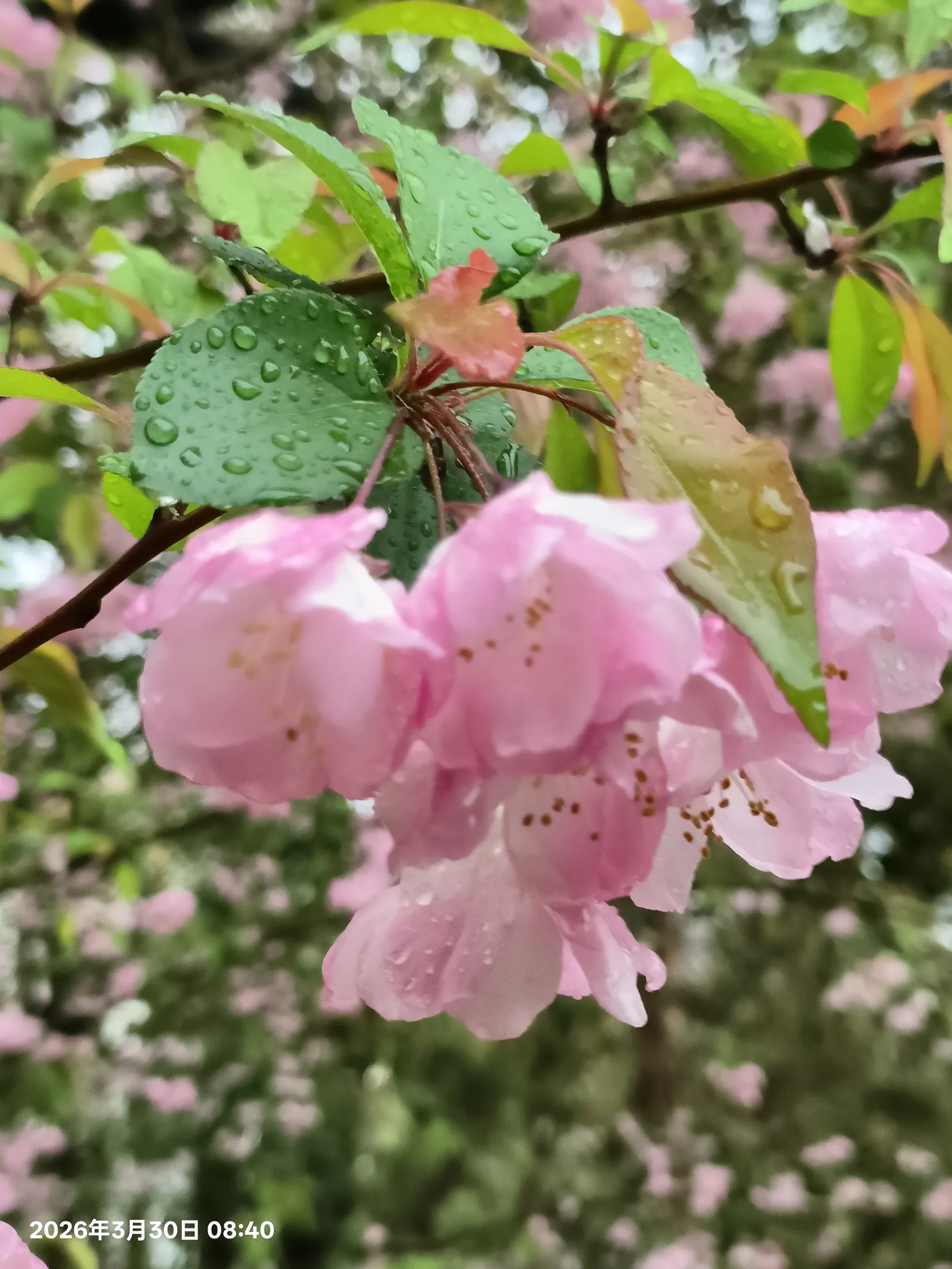 无锡的城市与风景记录 31