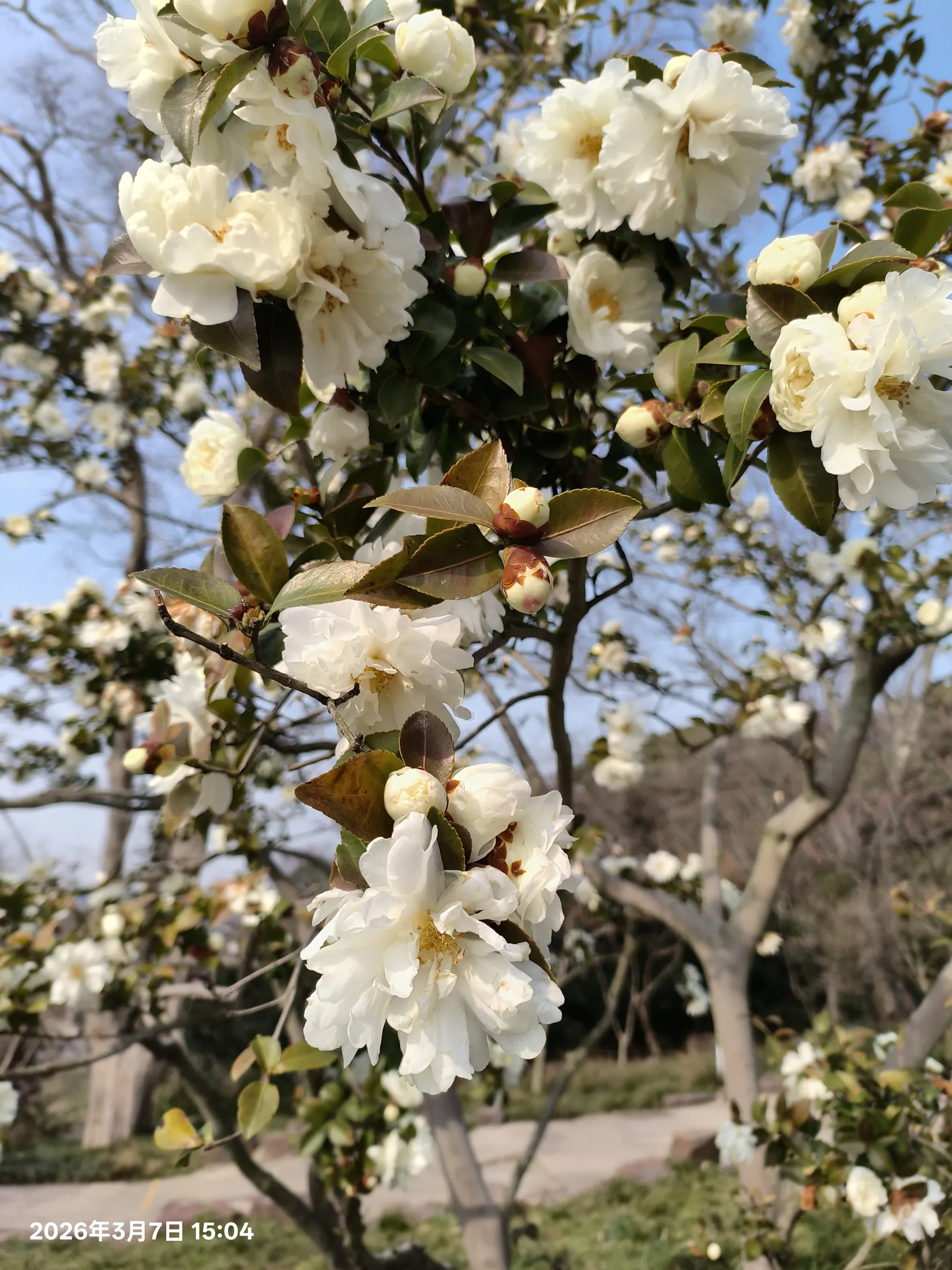 无锡的城市与风景记录 33