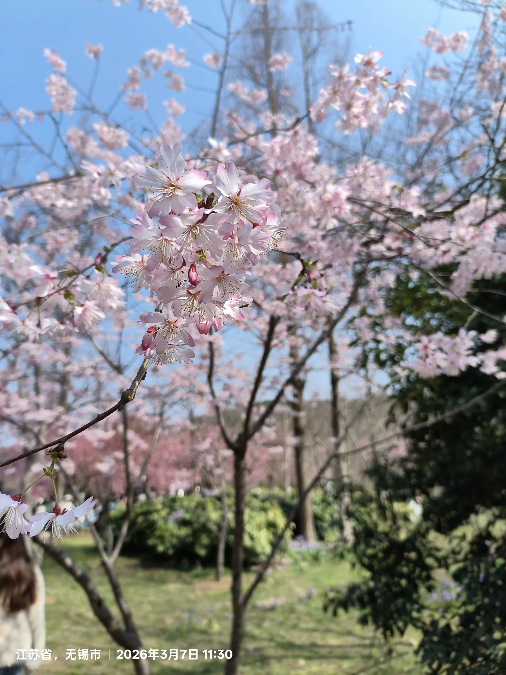 无锡的城市与风景记录 35