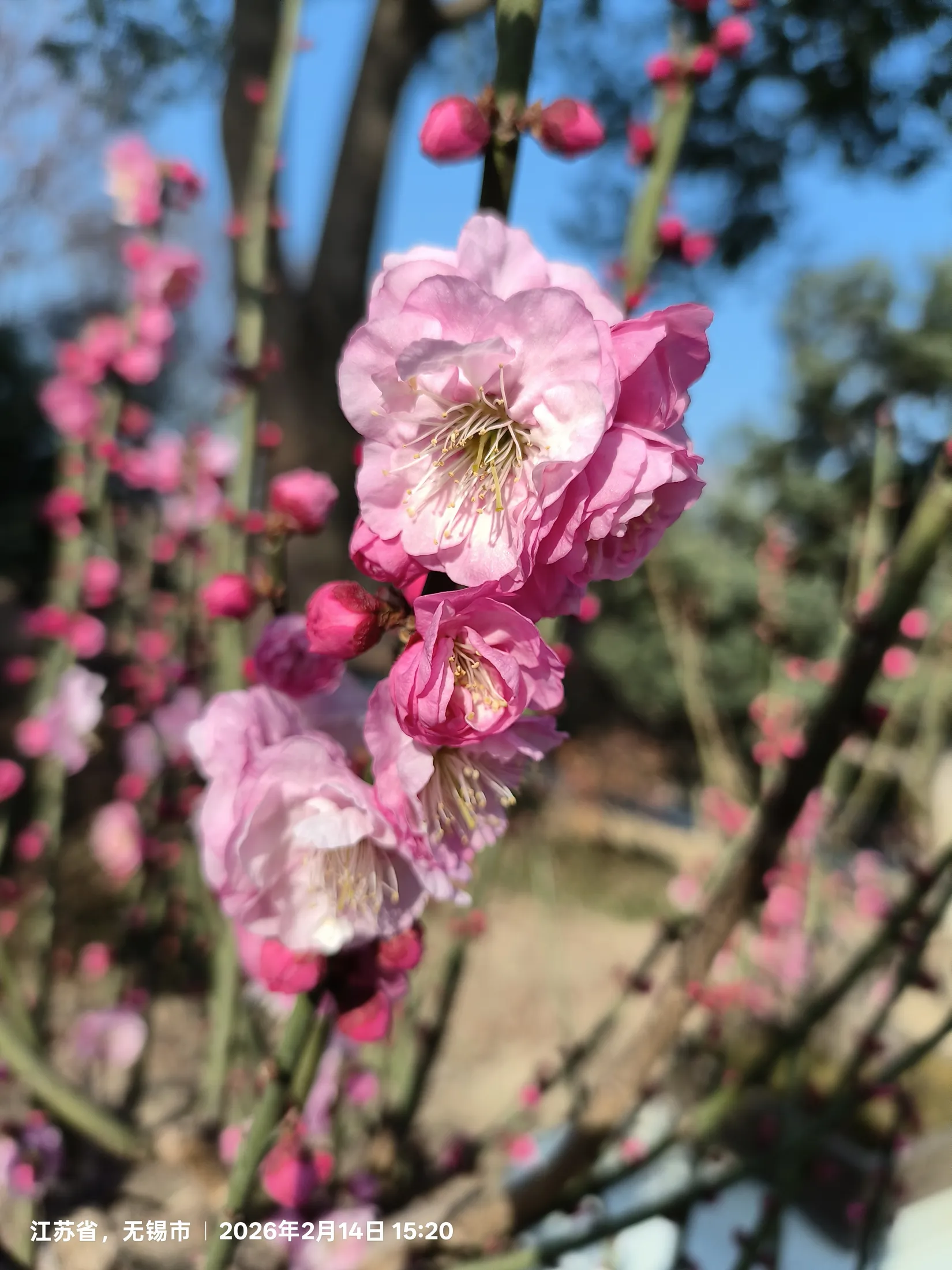 无锡的城市与风景记录 38