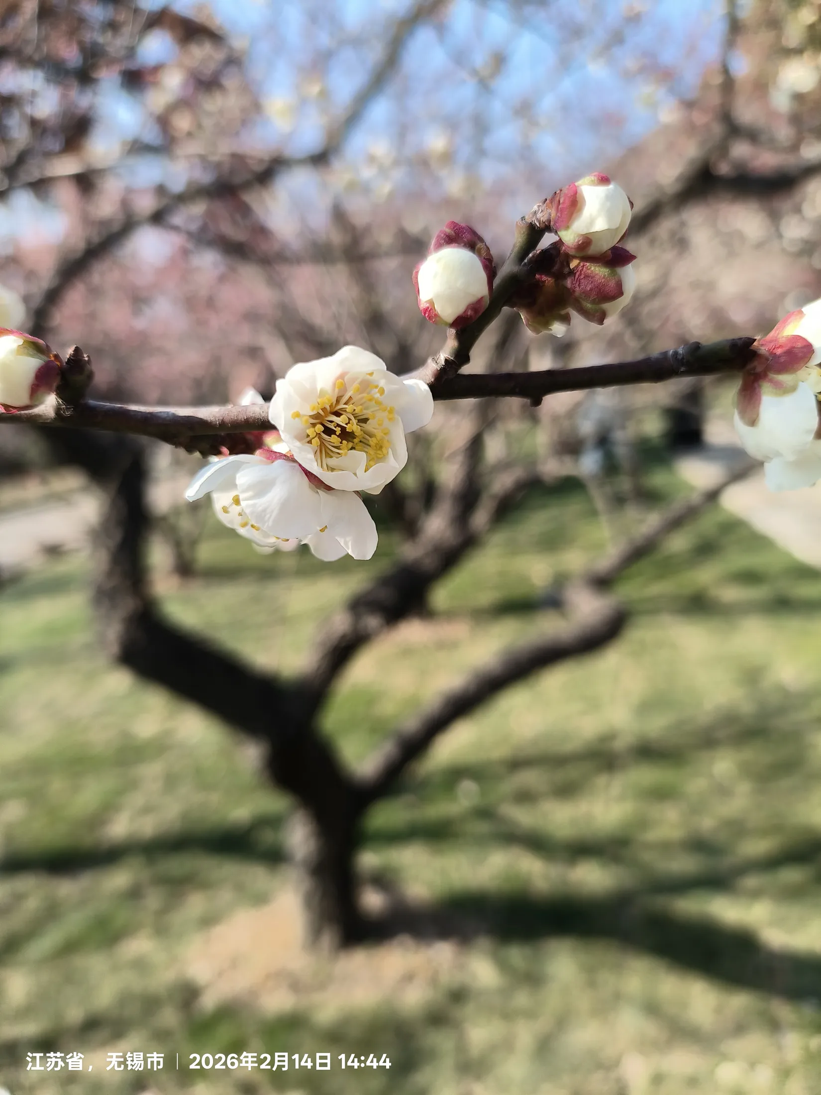 无锡的城市与风景记录 39