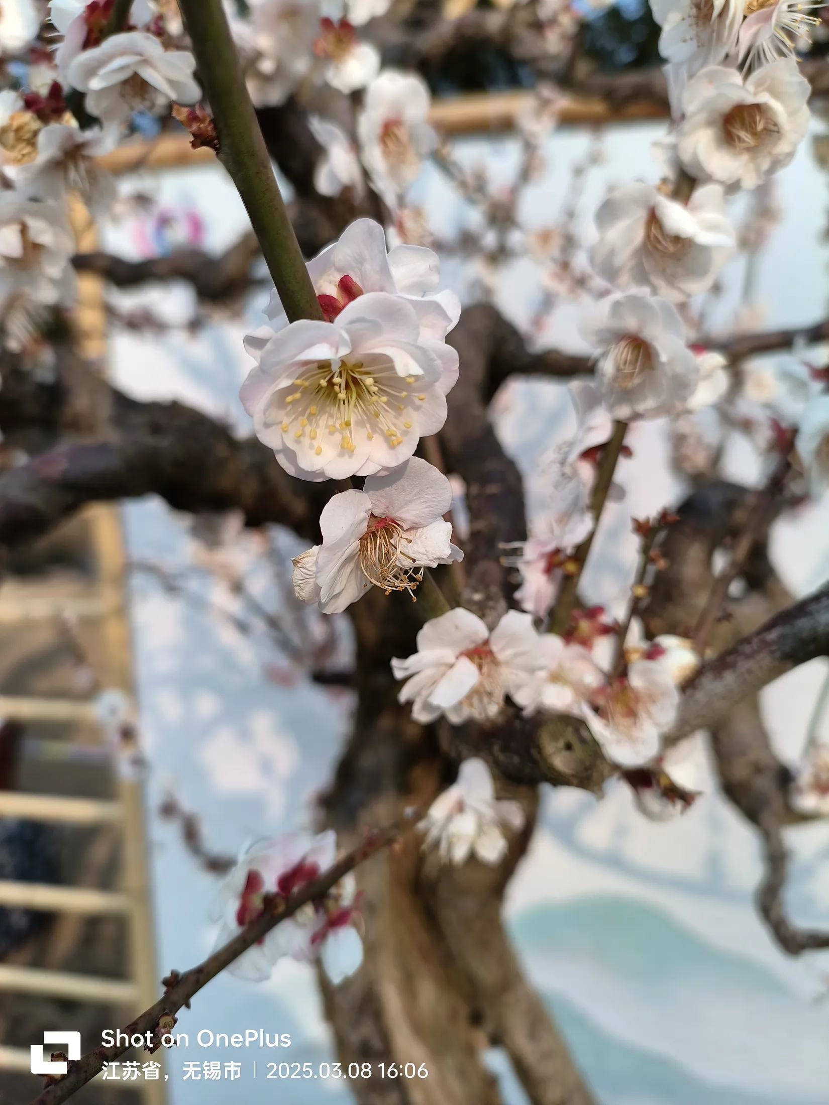 无锡的城市与风景记录 57