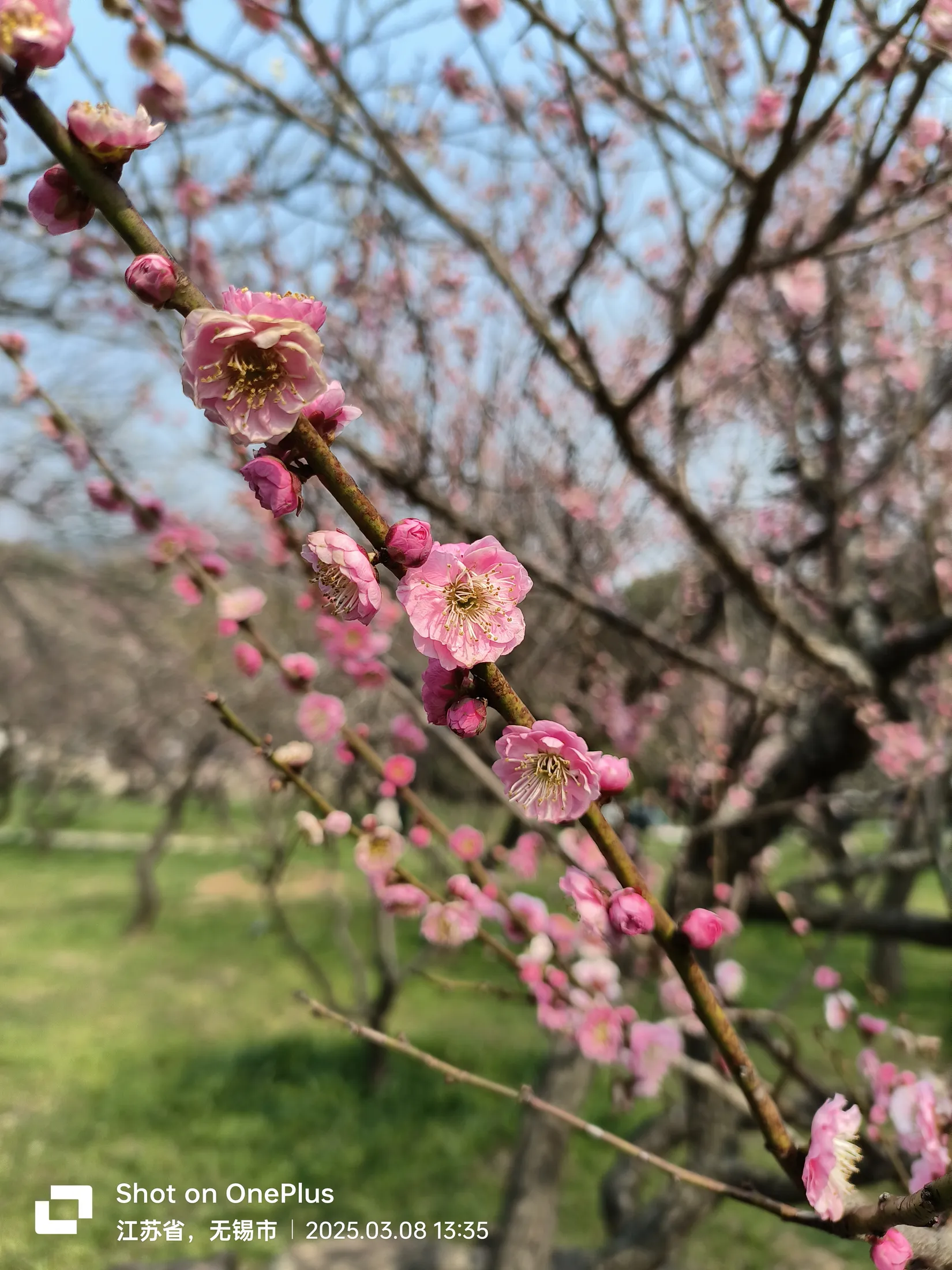 无锡的城市与风景记录 60